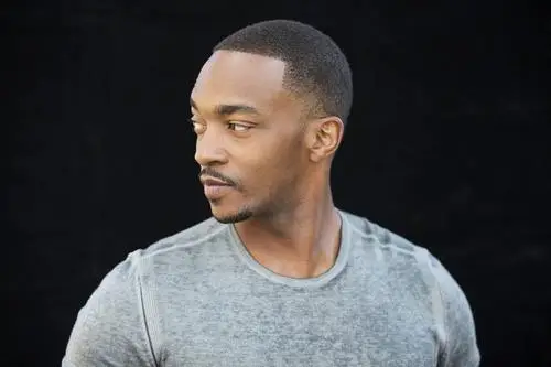 Anthony Mackie Wall Poster picture 1005705