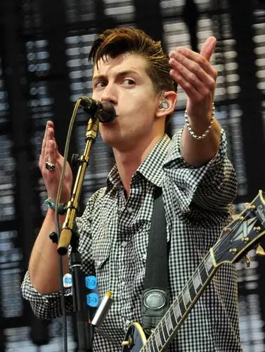 Arctic Monkeys Wall Poster picture 265614