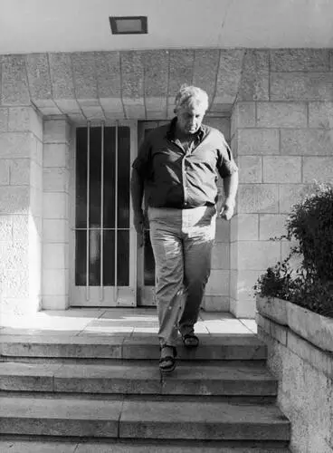 Ariel Sharon Jigsaw Puzzle picture 972096