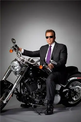 Arnold Schwarzenegger Fridge Magnet picture 155628