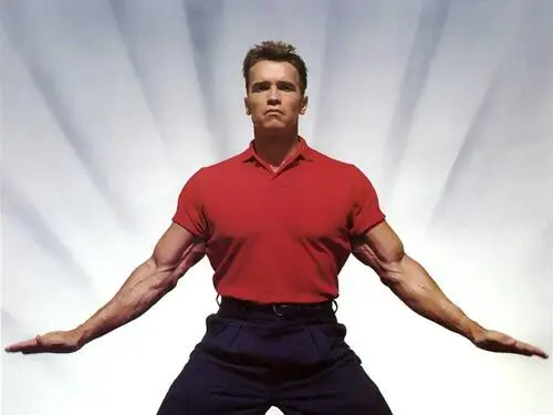 Arnold Schwarzenegger Fridge Magnet picture 242682