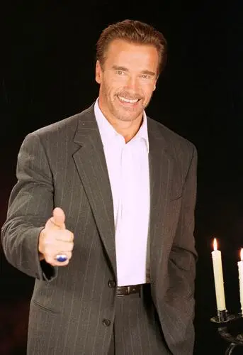 Arnold Schwarzenegger Fridge Magnet picture 510762