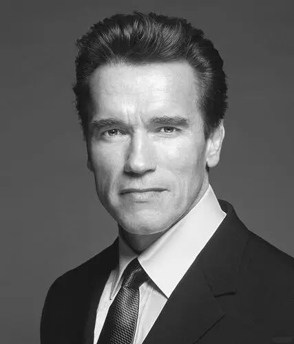 Arnold Schwarzenegger Fridge Magnet picture 510765