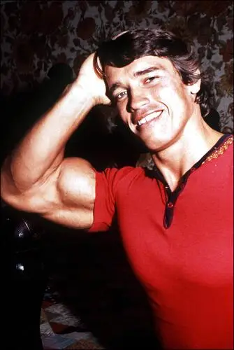 Arnold Schwarzenegger Fridge Magnet picture 516678