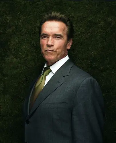 Arnold Schwarzenegger Fridge Magnet picture 910484
