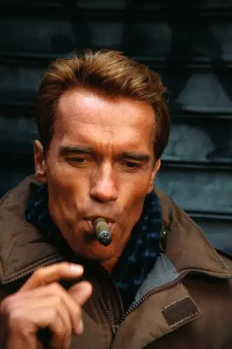 Arnold Schwarzenegger Fridge Magnet picture 910510