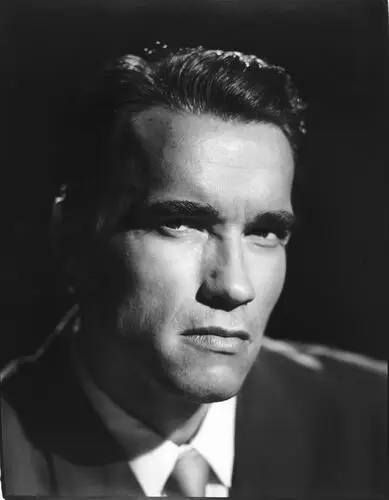 Arnold Schwarzenegger Fridge Magnet picture 910515
