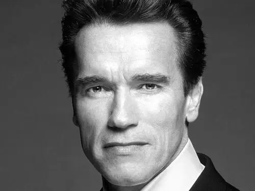 Arnold Schwarzenegger Fridge Magnet picture 94552