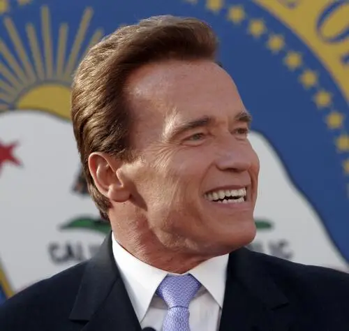 Arnold Schwarzenegger Fridge Magnet picture 94555