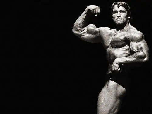 Arnold Schwarzenegger Wall Poster picture 94556