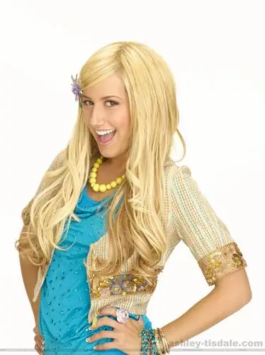 Ashley Tisdale Wall Poster picture 2817