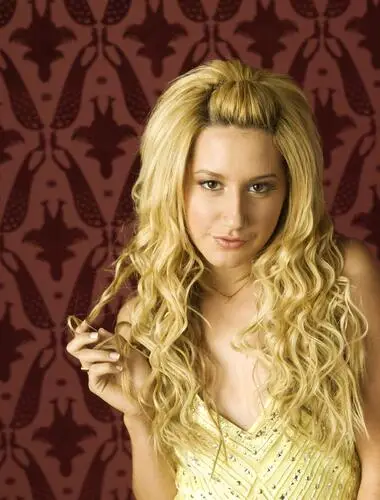 Ashley Tisdale Wall Poster picture 2851