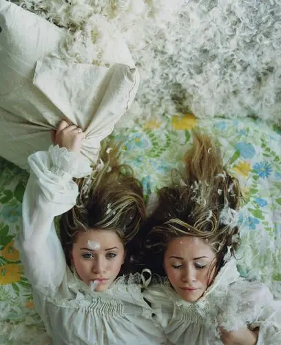 Ashley and Mary-Kate Olsen Wall Poster picture 921438