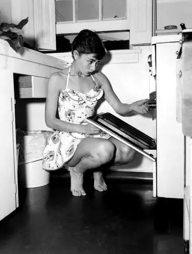Audrey Hepburn Kitchen Apron - idPoster.com