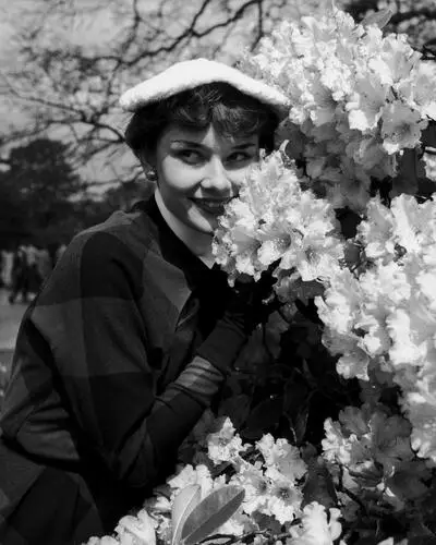 Audrey Hepburn Image Jpg picture 242889