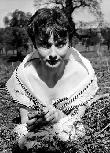 Audrey Hepburn Fridge Magnet picture 242894