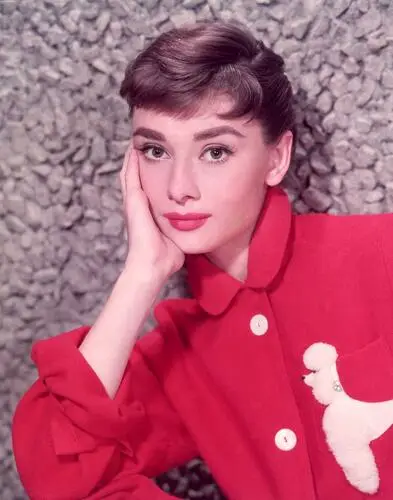 Audrey Hepburn Fridge Magnet picture 270858