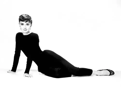Audrey Hepburn Wall Poster picture 270879