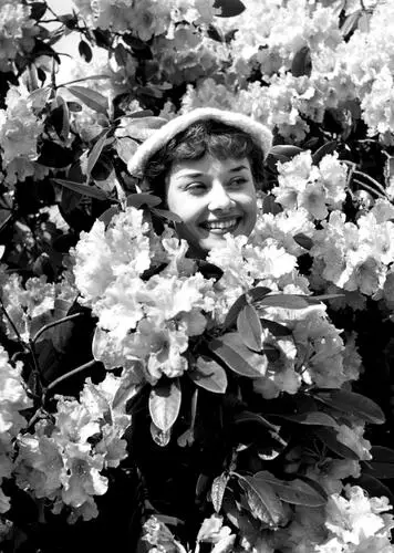 Audrey Hepburn Fridge Magnet picture 270919
