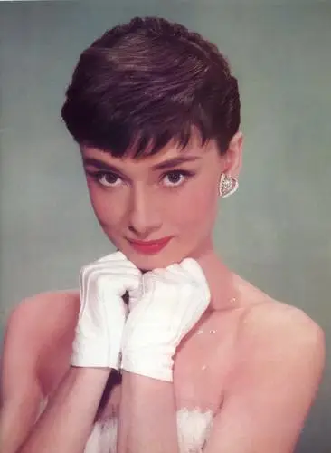 Audrey Hepburn Wall Poster picture 66334