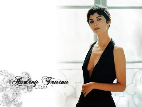 Audrey Tautou Wall Poster picture 127876