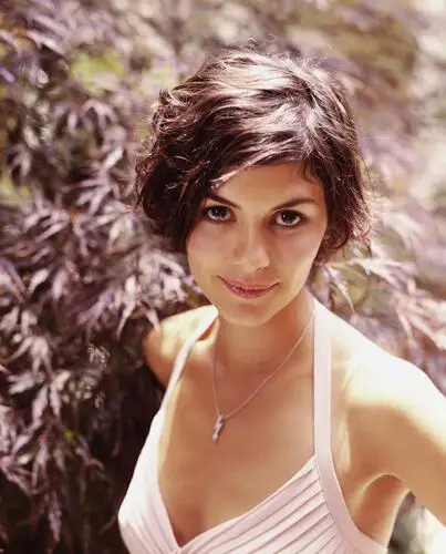 Audrey Tautou Wall Poster picture 270993