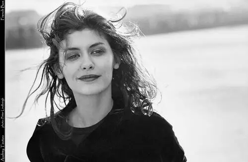 Audrey Tautou Wall Poster picture 29348