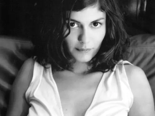 Audrey Tautou Wall Poster picture 304103