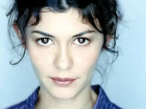 Audrey Tautou Wall Poster picture 304105