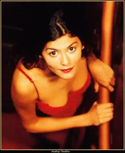 Audrey Tautou Wall Poster picture 80015