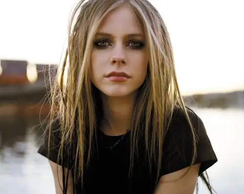 Avril Lavigne Fridge Magnet picture 29456