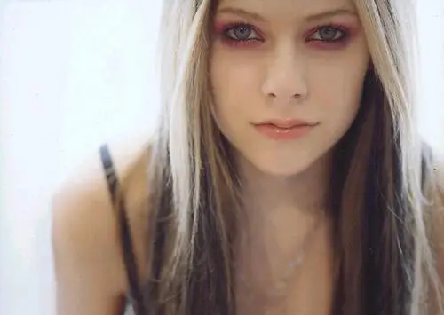 Avril Lavigne Computer MousePad picture 3005