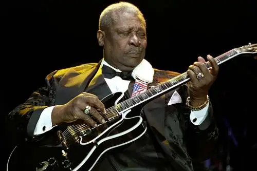 B.B. King Jigsaw Puzzle picture 678818