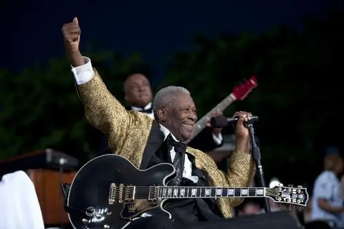B.B. King Jigsaw Puzzle picture 678820