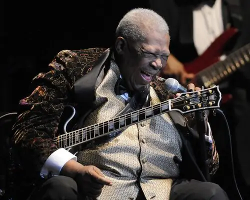 B.B. King Jigsaw Puzzle picture 954267