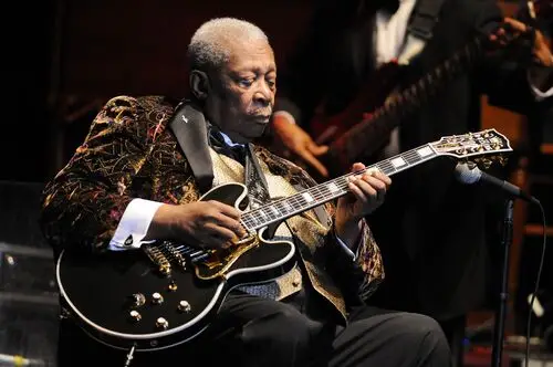 B.B. King Jigsaw Puzzle picture 954271