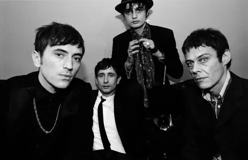 Babyshambles Wall Poster picture 954291
