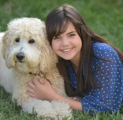 Bailee Madison Jigsaw Puzzle picture 567915