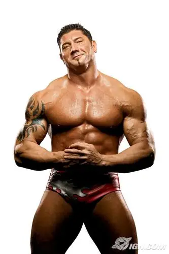Batista Jigsaw Puzzle picture 76373