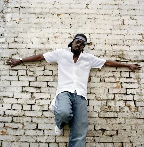 Beenie Man Jigsaw Puzzle picture 911871