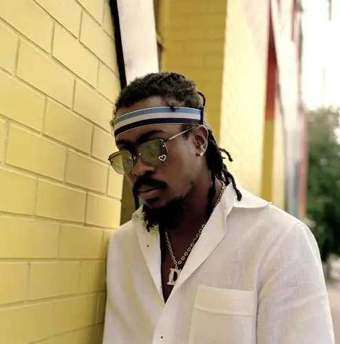 Beenie Man Jigsaw Puzzle picture 911873
