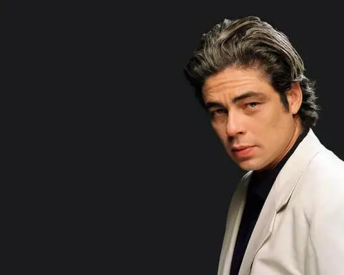 Benicio del Toro Image Jpg picture 74538