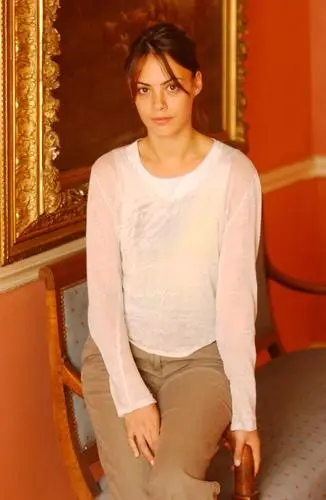 Berenice Bejo Wall Poster picture 568856