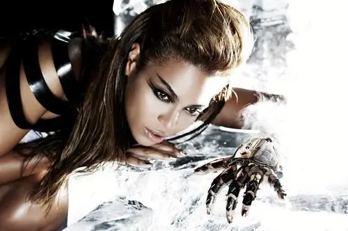 Beyonce Wall Poster picture 63007