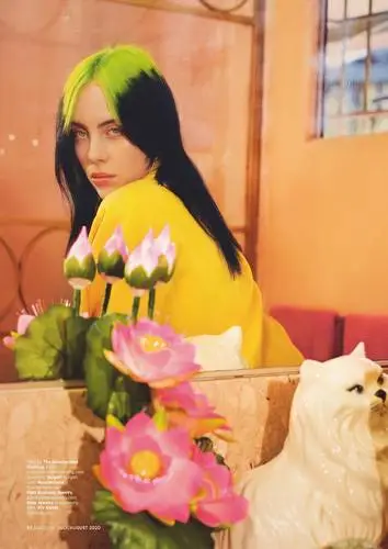 Billie Eilish Wall Poster picture 13121