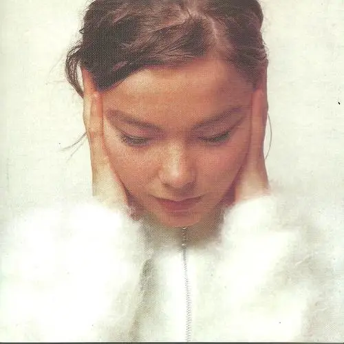Bjork Wall Poster picture 202447