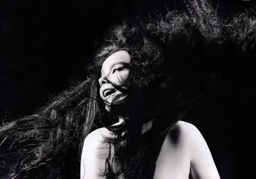 Bjork Wall Poster picture 202449