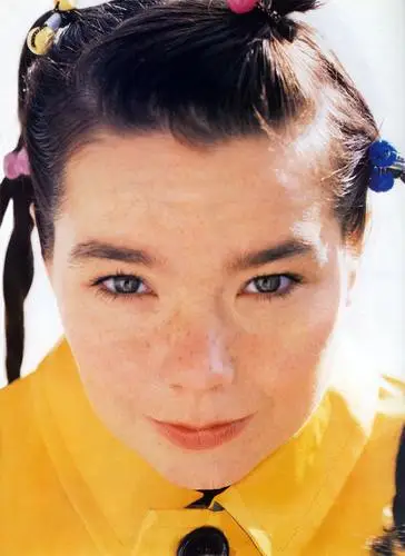 Bjork Wall Poster picture 202454