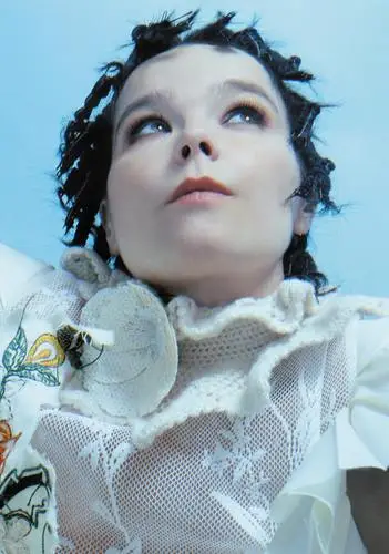 Bjork Wall Poster picture 575080