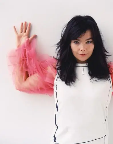 Bjork Wall Poster picture 575124